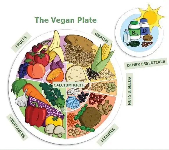 Ilustração com o título "The Vegan Plate" (o prato vegano) na ilustração há um prato repleto de frutas, vegatais, legumes, sementes e nozes. Ao lado está escrito outros essenciais, contendo frascos de suplementos de b12, vitamina D, entre outros