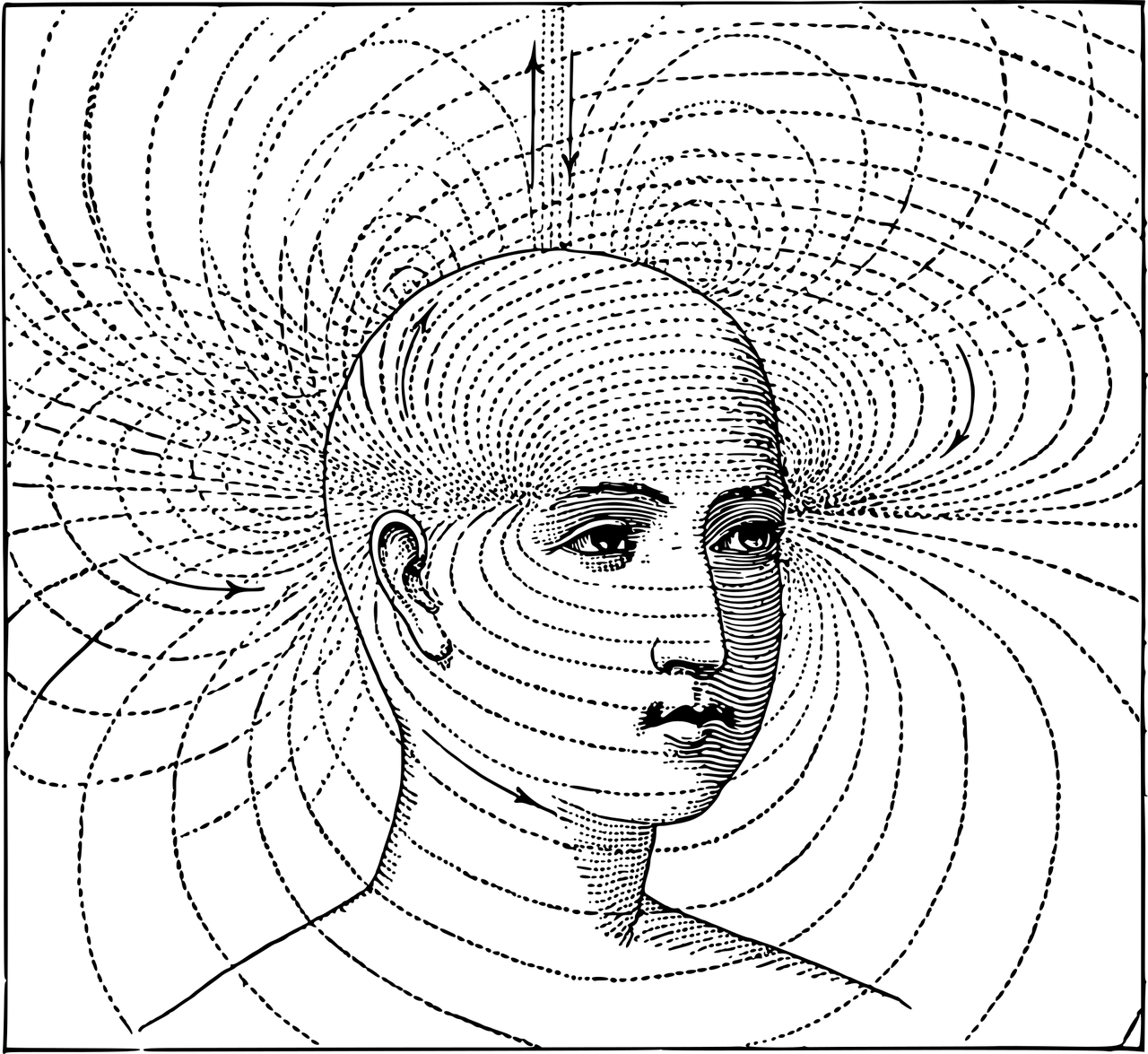Ilustração mostrando um rosto humano e diversas linhas em formato elíptico, contornando a cabeça até se perderem no fundo da imagem
